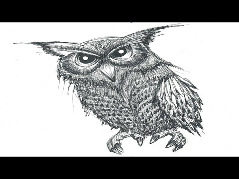 Echo Południa - Tutaj gdzie żyjemy