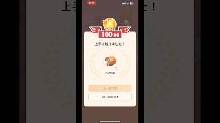 モンハンnow 自分用リピート肉焼き上手に焼けました！