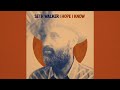 Seth Walker - The Future Ain’t What It Used To Be