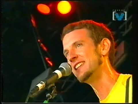 Regurgitator - Big Day Out 1999 FULL GIG