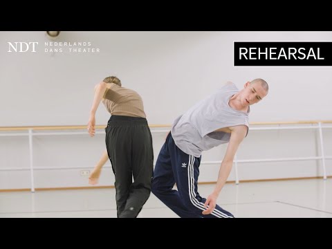 Rehearsal Fusions and some confusions - Dimo Milev (NDT 2 | Dare to Say)