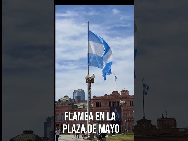 Vídeo relacionado con Bandera de Argentina, Bandera 90cm x 150cm, Grande con Trabilla para Mástil y Cordones para Sujetar, Bandera Ligera, para Deportes, Fútbol, Manifestaciones, Edificios,