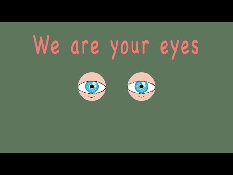 Eye Anatomy Song