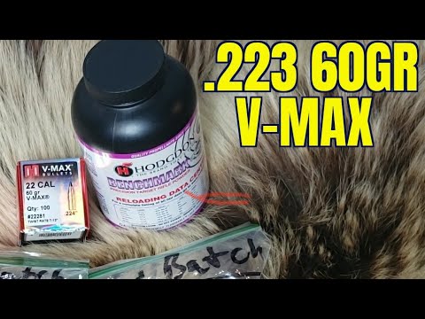 .223 Rem 60gr V-Max 4 Barrel Length AR-15 Velocity and Function Test.