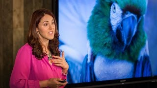 Laurel Braitman: Depressed dogs, cats with OCD — what animal madness means for us humans