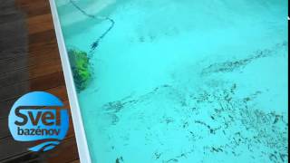 Maytronics Dolphin Spring