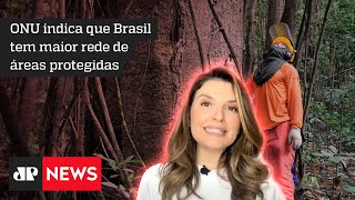 Hora H do Agro: Brasil é o país que mais protege florestas no mundo, aponta ONU