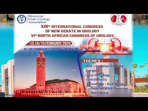 XIIIth INTERNATIONAL CONGRESS OF NEW DEBATE IN UROLOGY VIth NORTH AFRICAN