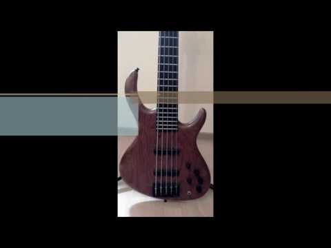 Schack Unique Bass - Various Samples