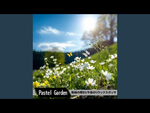 jardin-papillons-lierre-plante-vivace-papillons