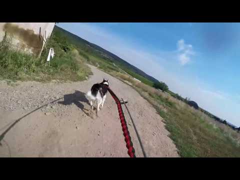 ROYAL CANIN CUP 3.kolo - Doľany