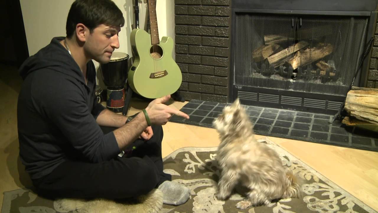 Behaviour Modification Proposal - ADAM PAULL - PSYCH 281 (AS01)