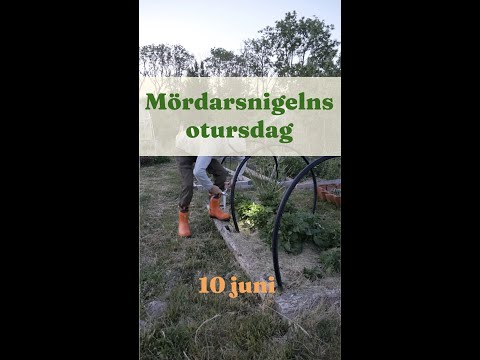 Kampsång till Mördarsnigelns otursdag 10 Juni - Trädgårdshacks med GardenR
