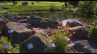 Volcanic Iceland Vacation Travel Video Guide