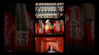 Looking back on my trip to Kyoto, Japan 🇯🇵 #travelblog