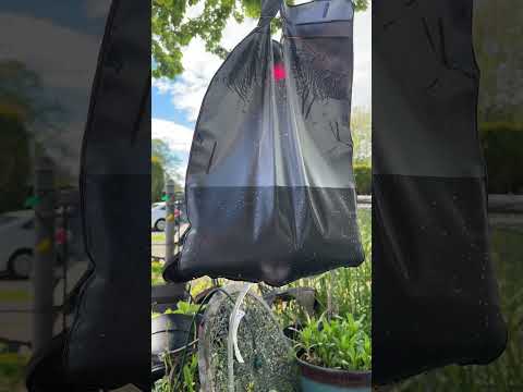 Part of a video titled How long will a 5 gal Solar camping shower last? Let's test ... - YouTube