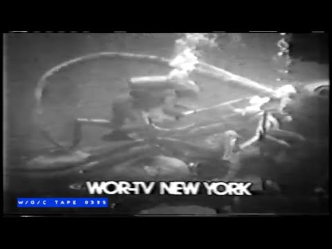 WOC Tape 0395 Station Bugs Compilation - 1980s