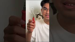 Download lagu Bocor mba?Itu AC apa karena mens nih? Makanya pake Softex Celana Menstruasi aja! 🤩Proteksinya 360° mp3