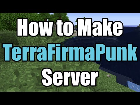 How To Make TerraFirmaPunk Server