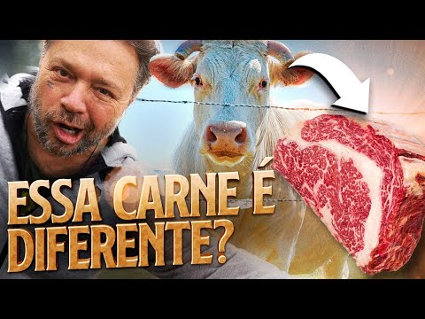 CHAROLES, O GADO BRANCO FRANCÊS BOM DE CARNE! | RICHARD RASMUSSEN