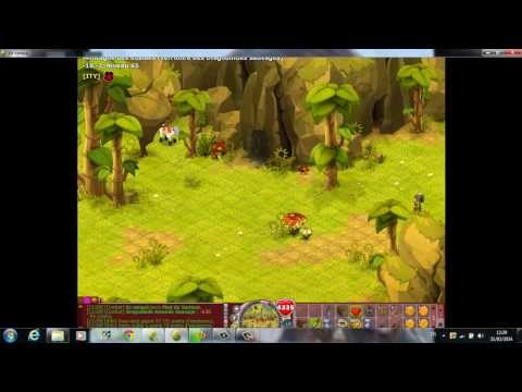 comment on capturer une dragodinde dofus