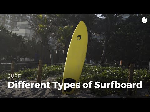 Different types of surfboard | Surf