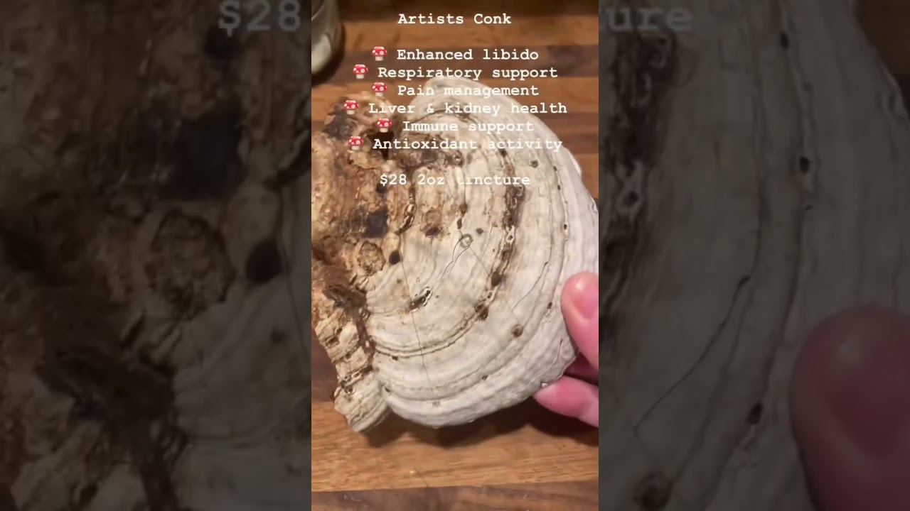 #libido support #nature #forageharvest #medicinalmushroom #mushroom #tincture