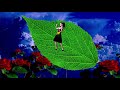 Good Morning Video