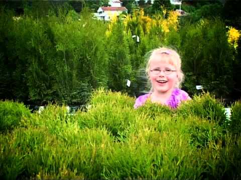 Lisa Børud - Snikkelora official video