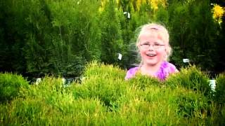 Lisa Børud - Snikkelora official video