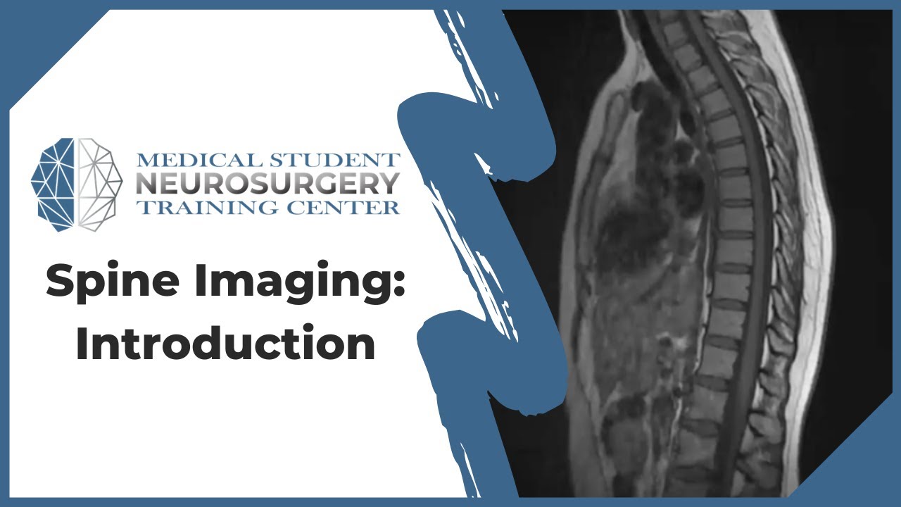 Spine Imaging: Introduction