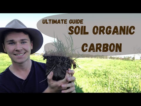 Soil Organic Carbon - Everything You Need To Know