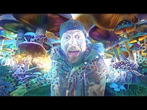 Aura Da Prophet - All My Love (Official Music Video)