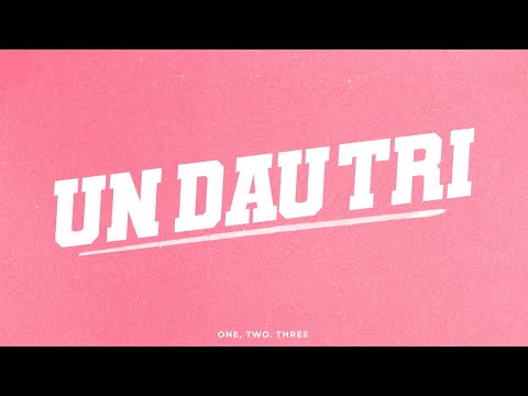 BRONWEN - UNDAUTRI 🩷 (Official Lyric Video)