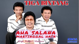 Download lagu Tiga Bintang - Aha Salana Martinggal Hata || mp3 Download lagu Tiga Bintang - Aha Salana Martinggal Hata || mp3