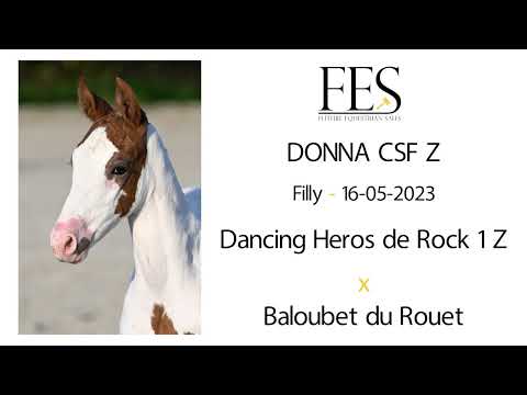 Donna CSF Z