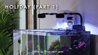 Preparing the Tank for a 30-Day Vacation - Part 1 | Blue Reef Tank
