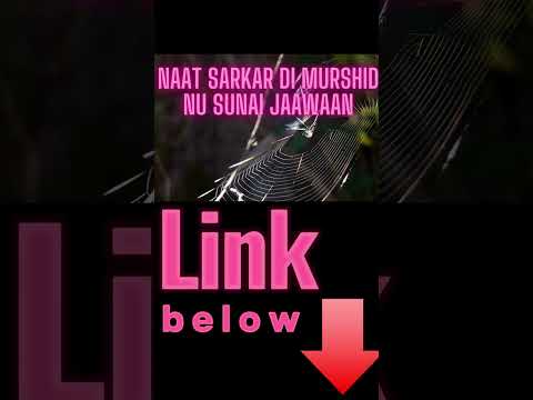 Goftgoon sheikh de sun k main lekha naat e nabi #381 #naat