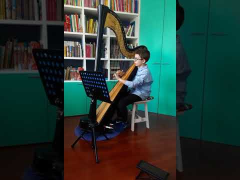 Francesco Montesano, arpa