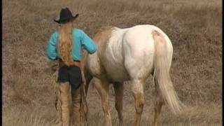 SOLD ~ Amigo #1  2002 palomino snowcap appaloosa gelding