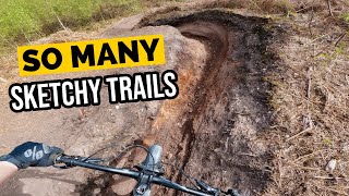 These are my kind of MTB trails!