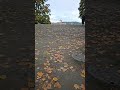 Oslo Autumn: A Symphony of Colors | Europe Tour 2024