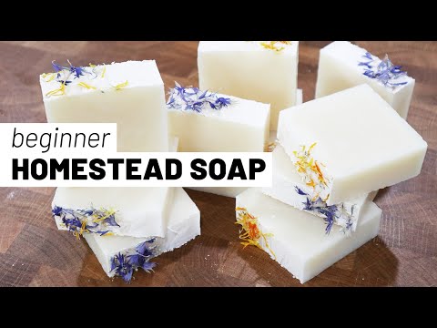How to make easy homestead soap for beginners using tallow 🧼 (start to finish, with recipe)