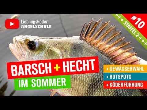 Barsch + Hecht Angeln im Sommer 🎣 (Staffel 2, Folge 10)