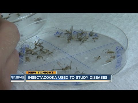 Researchers bracing for West Nile's ugly cousin