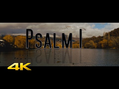🏞️ Psalm 1 - Gesinnung des Gesetzes