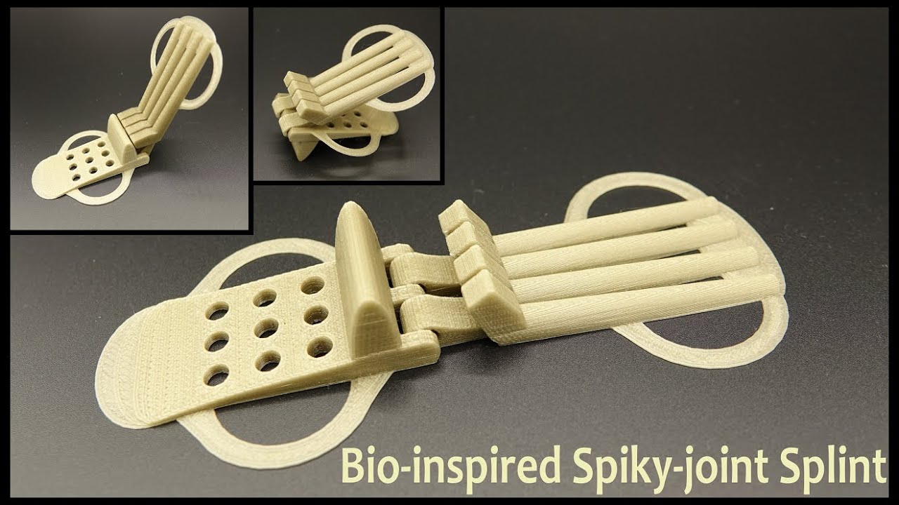 Spiky-joint: a bioinspired solution to combine mobility and support