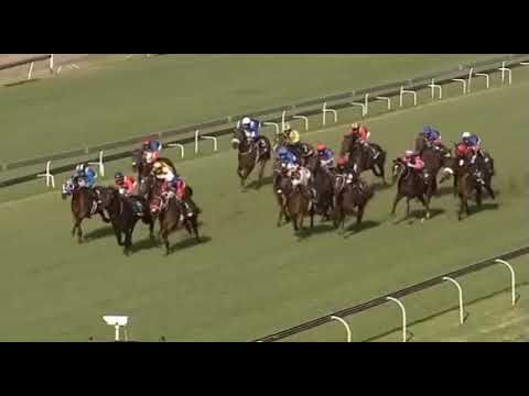 MONKS HOOD - 2018 Gauteng Guineas