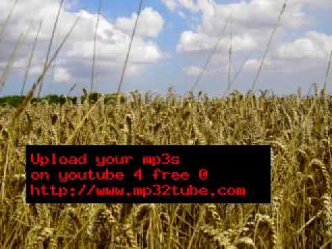 Slavonci - Možda bar jednom