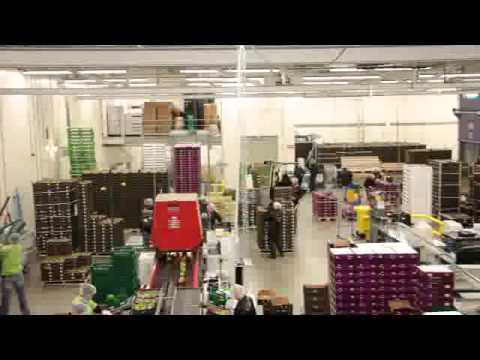 Honderdland 70 te Maasdijk